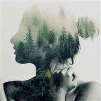 6686体育签约作者浅浅爱